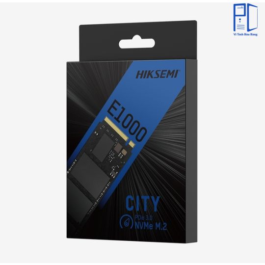 SSD 256GB HIKSEMI CITY E1000 NVME M.2.NEW